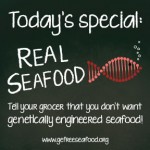 GE-Free-Seafood-chalkboard